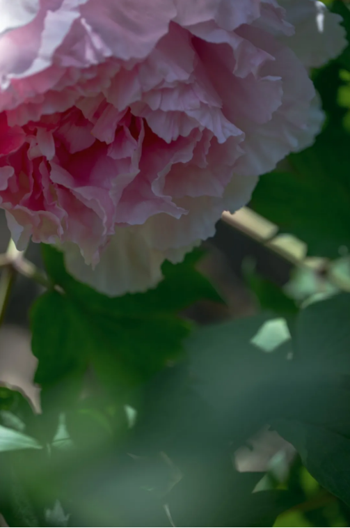 69805a03-7f83-4ef6-96fd-80a44b650e19.png