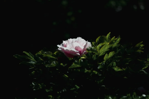 7f8df4c7-53c2-4a57-bdd1-0bcc9c5e0232.png
