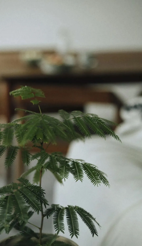 1755680806635106.png ecaa9ae3-cb5b-42a2-889c-e750770bdfd9.png