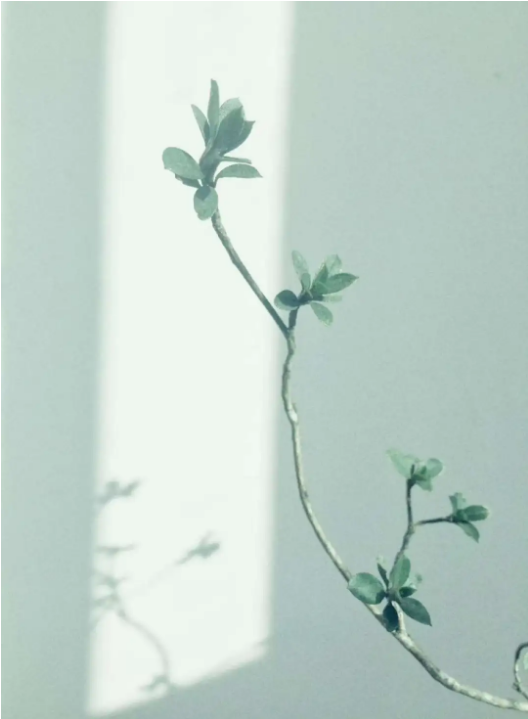 1755680886601713.png fa8f78e0-aa3a-474f-b787-a3e3d80c3d4a.png