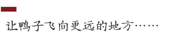 1755758954131234.png 1972ea1d-4b25-4b55-b9b9-9c00a2123f7a.png