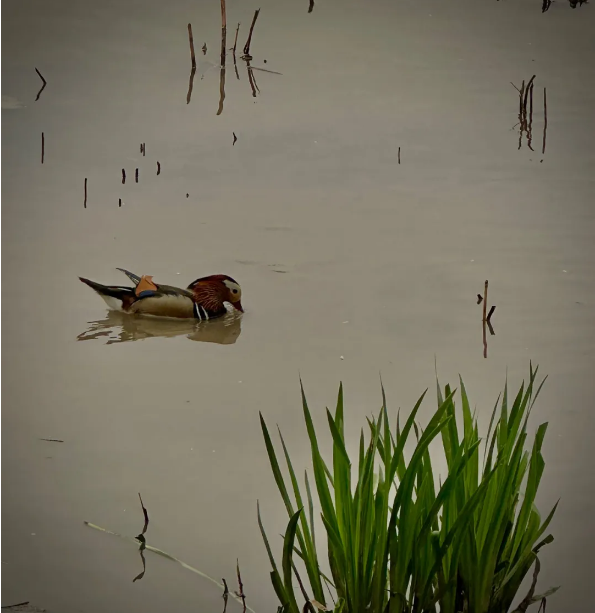 1756103586669144.png eb9878ac-77ef-4bc0-951d-a3d24ae52418.png