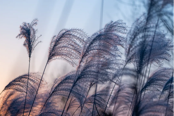 1758244998851039.png d1b90670-ec05-4f68-9d4a-7ca0a238a5e1.png