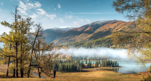 1758245014137137.png 08e250da-8583-4688-81f1-b0cd3699d960.png