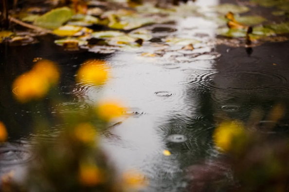 1758245080639366.png 0981d86a-6526-4209-9a8e-62b7bed0ef5d.png