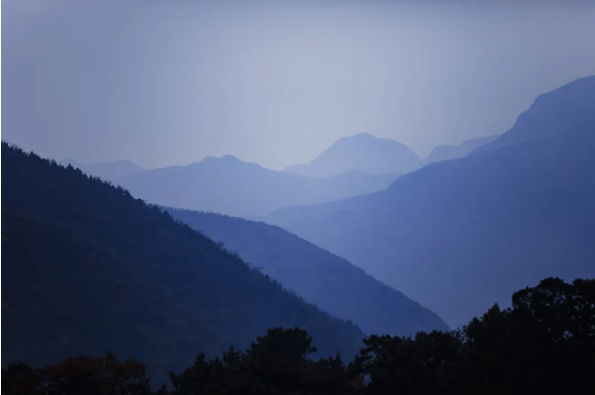 1758245089115221.png fe6a2bbb-f65e-4451-bdbe-8a36f496544d.png