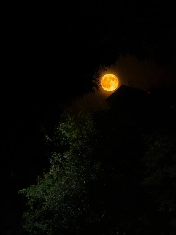 1760939940475759.png QQ_1760939454530.png