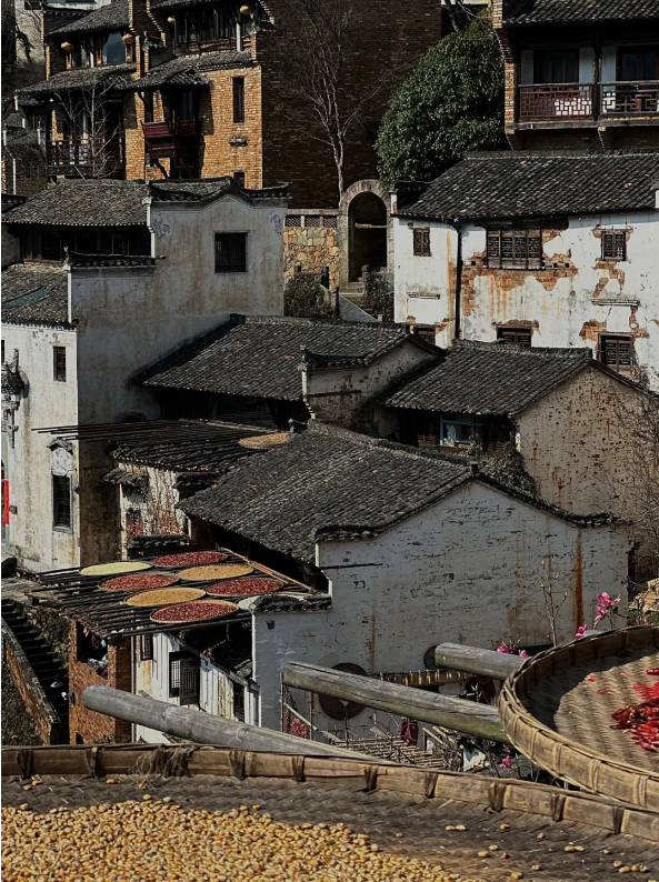 1760940002573097.png QQ_1760939539850.png