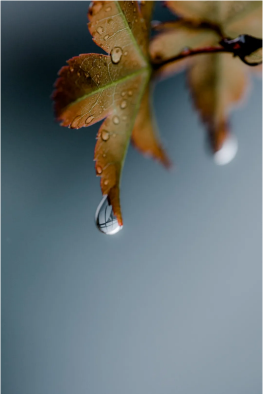 1761270732525418.png QQ_1761025839448.png